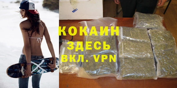 МДПВ Алзамай