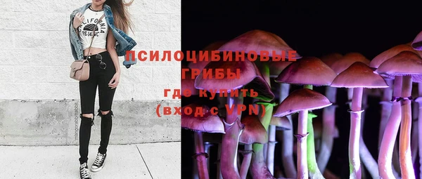 МДПВ Алзамай